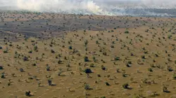L'Afrique vue du ciel