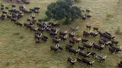L'Afrique vue du ciel