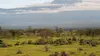 L'Afrique vue du ciel