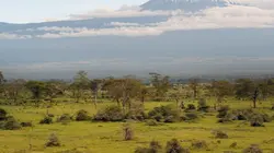 L'Afrique vue du ciel
