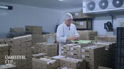 L'agriculture, c'est ce qui nous lie