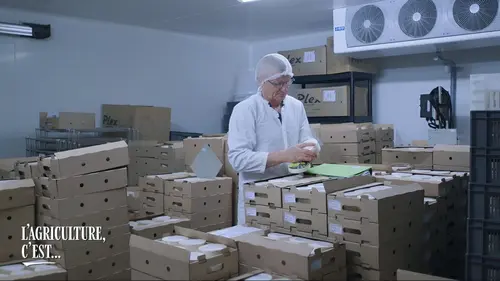 L'agriculture, c'est ce qui nous lie