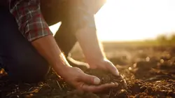 L'agriculture c'est là-haut aussi
