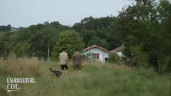 L'agriculture, c'est reparti