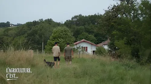 L'agriculture, c'est reparti