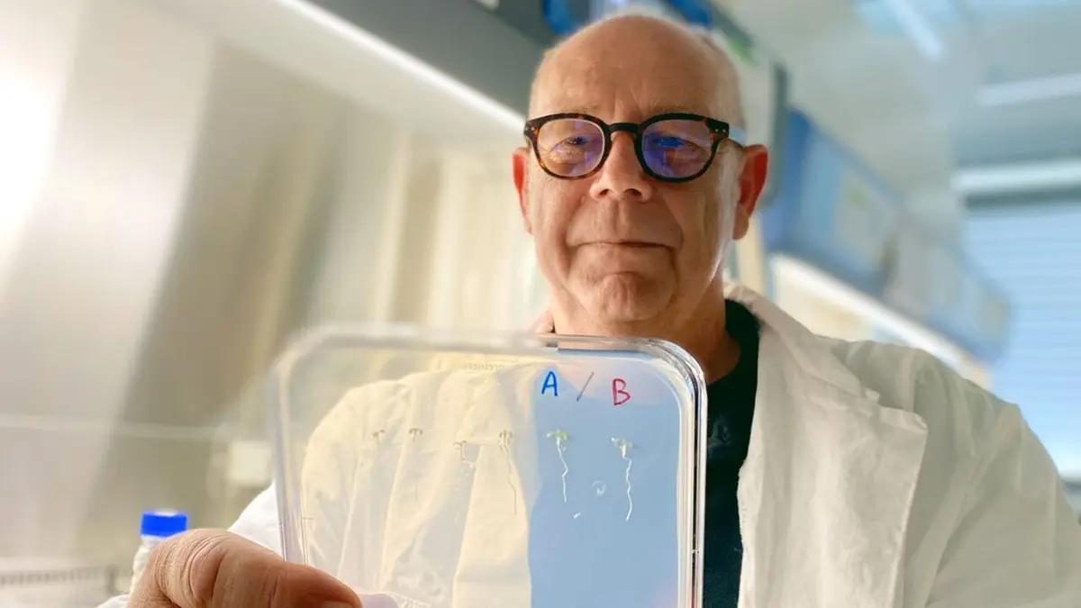 L'agriculture du futur : Révolution dans les plantations