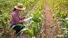 L'agriculture : nourrir aujourd'hui, préserver demain