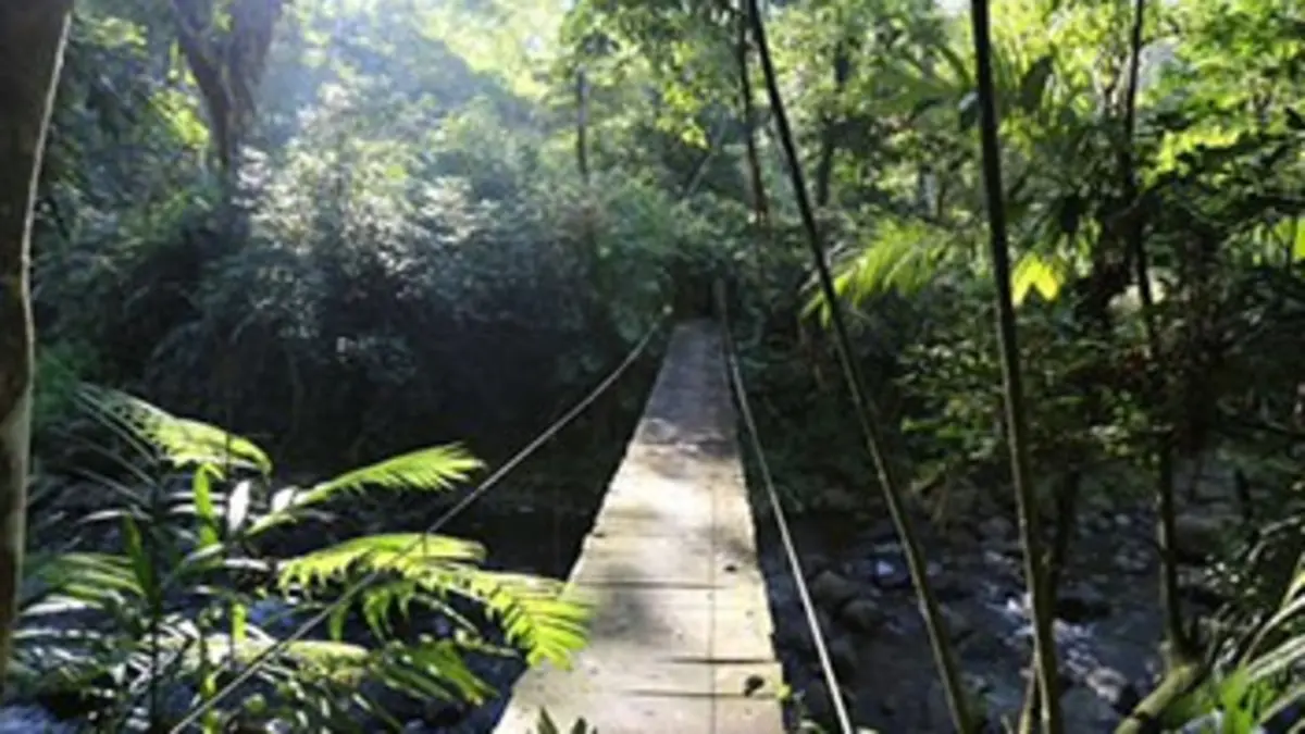 L'aigle et le cactus