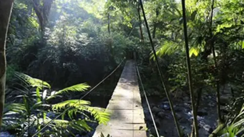 L'aigle et le cactus