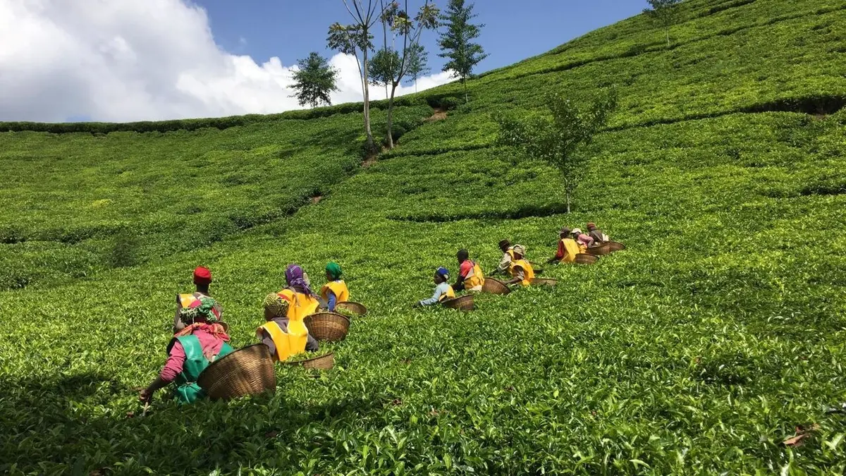 L'air du temps Rwanda