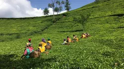 L'air du temps Rwanda