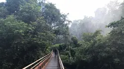 L'air du temps Argentine : Carole Lambert