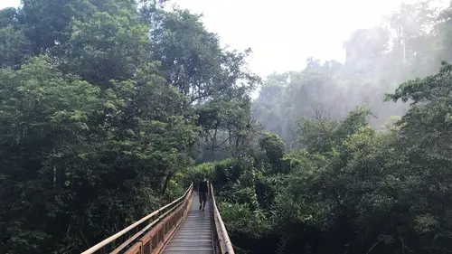 Casting L'air du temps Argentine : Carole Lambert