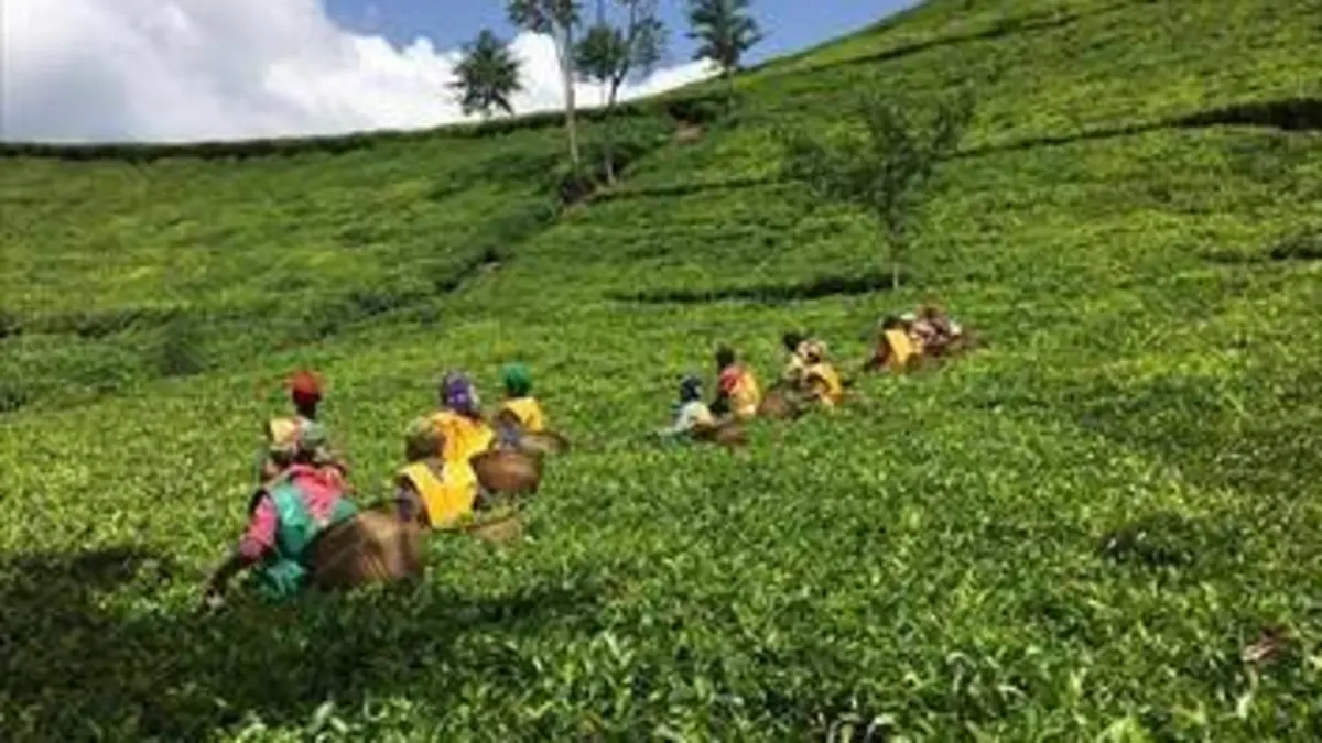 L'air du temps S01E03 Rwanda