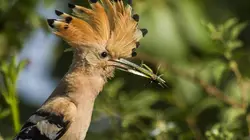 L'Allemagne au fil de l'eau