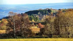 L'Allemagne au fil de l'eau