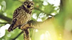 L'Allemagne au fil de l'eau