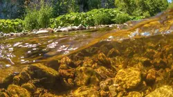 L'Allemagne au fil de l'eau