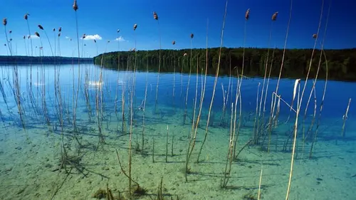 Casting L'Allemagne au fil de l'eau