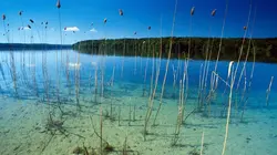 L'Allemagne au fil de l'eau Du Harz à la mer du Nord