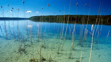 Du Harz à la mer du Nord