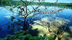 Visuel de L'Allemagne sauvage
