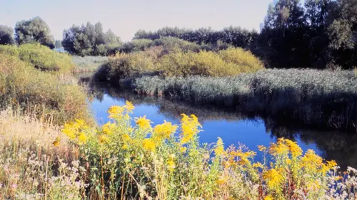 L'Allemagne sauvage S03E01 Le Danube