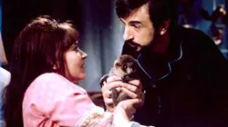 Visuel de L'alliance