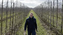 L'Altes Land : au coeur des vergers et des anciens marais