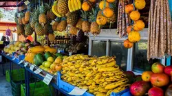 L'Amérique centrale, côté sauvage