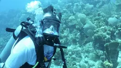 L'Amérique centrale, côté sauvage