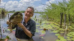 L'Amérique centrale, côté sauvage