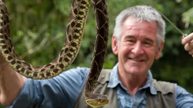 Le Costa Rica, côté sauvage