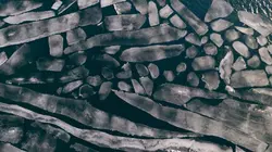 L'Amérique des Grands Lacs Le réveil du printemps