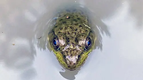 Épisodes de L'Amérique des Grands Lacs