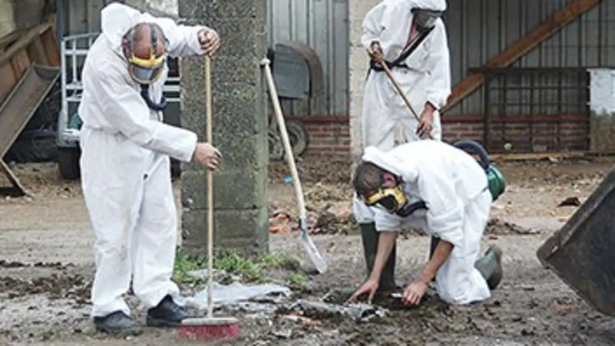 L'amiante, un mensonge d'Etat