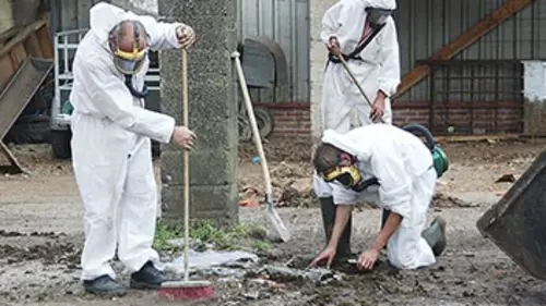 L'amiante, un mensonge d'Etat