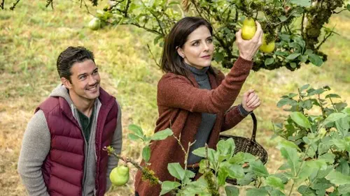 L'amour dans le pré