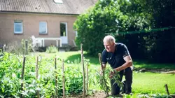 Sur M6 à 21h10 : L'amour est dans le pré