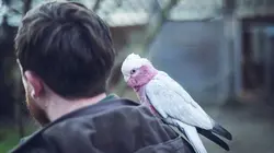 L'amour est dans le pré S20E08