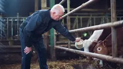 L'amour est dans le pré S20E11