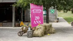 L'amour est dans le pré S20E16 20 ans : émission 1