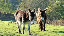 L'amour est dans le pré Présentation des nouveaux agriculteurs (2/2)