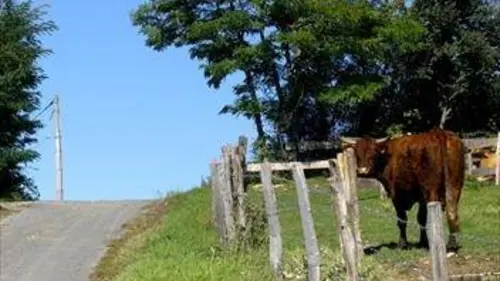 L'amour est dans le pré Episode 4 en streaming