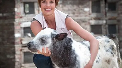 Casting L'amour est dans le pré Episode 2