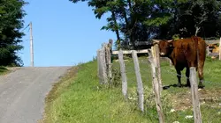 L'amour est dans le pré Soirée 1 (1/2)