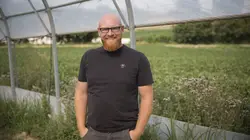 Visuel de L'amour est dans le pré
