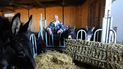 L'amour est dans le pré Saison 17 : Épisode 2 - Partie 2