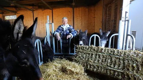 L'amour est dans le pré Saison 17 : Épisode 2 - Partie 2