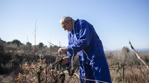L'amour est dans le pré Episode 10